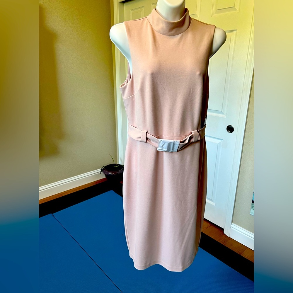 Business comfy sexy light pink Express midi dress